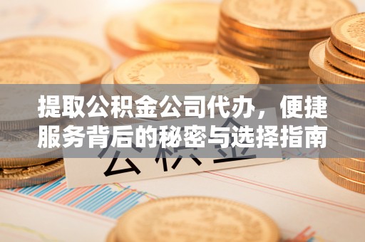 资源提取公积金公司代办，便捷服务背后的秘密与选择指南
