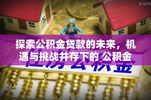 资源探索公积金贷款的未来，机遇与挑战并存下的 公积金贷款风险防控