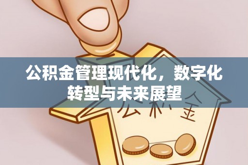 资源公积金管理现代化，数字化转型与未来展望