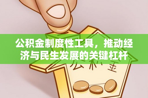 资源公积金制度性工具，推动经济与民生发展的关键杠杆