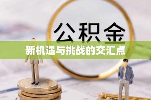 资源新机遇与挑战的交汇点