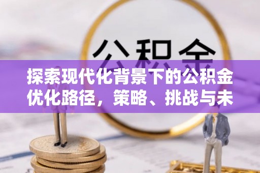 资源探索现代化背景下的公积金优化路径，策略、挑战与未来展望