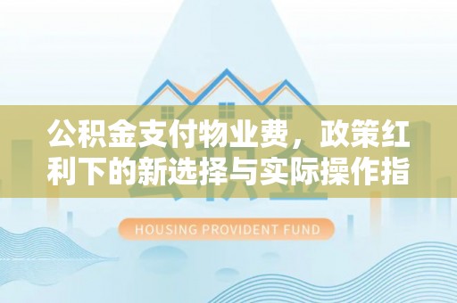 资源公积金支付物业费，政策红利下的新选择与实际操作指南