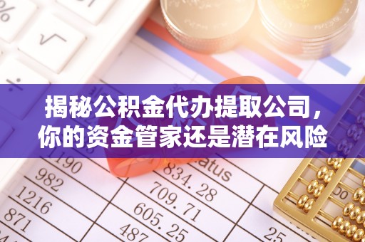 资源揭秘公积金代办提取公司，你的资金管家还是潜在风险？