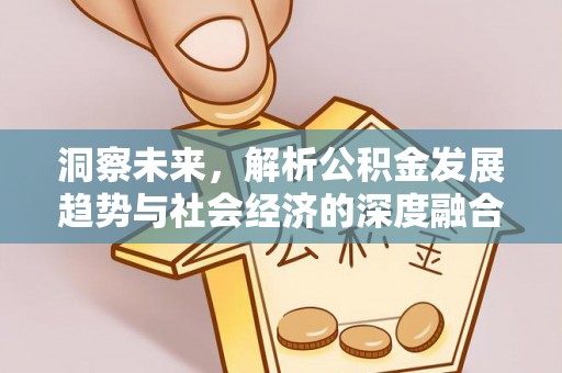 资源洞察未来，解析公积金发展趋势与社会经济的深度融合