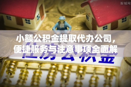资源小额公积金提取代办公司，便捷服务与注意事项全面解析