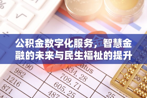 资源公积金数字化服务，智慧金融的未来与民生福祉的提升