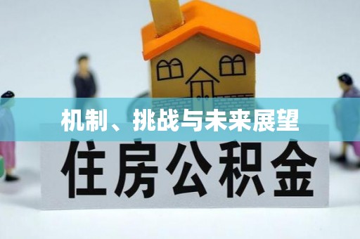 资源机制、挑战与未来展望