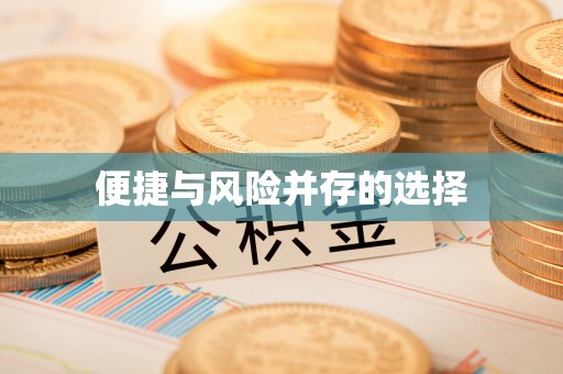 资源便捷与风险并存的选择