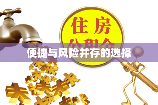 资源便捷与风险并存的选择