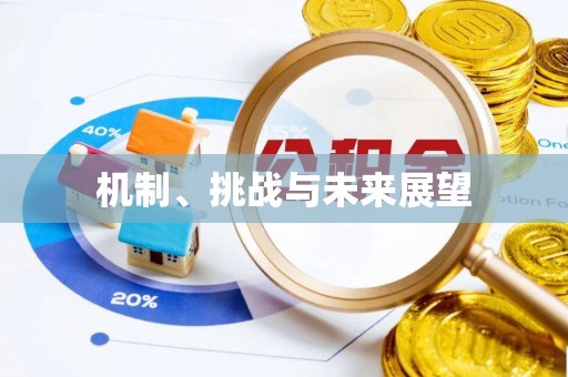 资源机制、挑战与未来展望